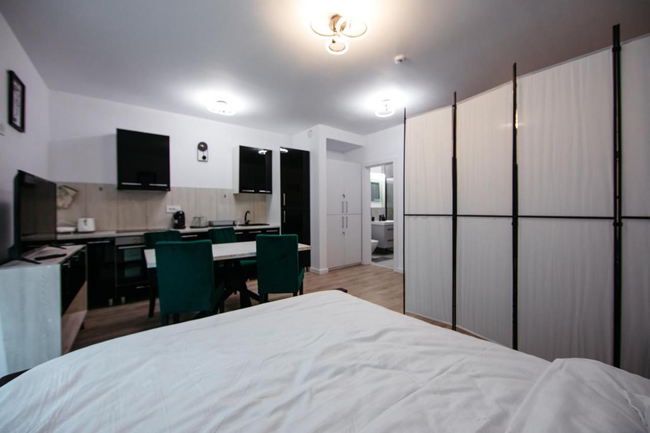 Apartament L&V Family Studio Sinaia Zewnętrze zdjęcie