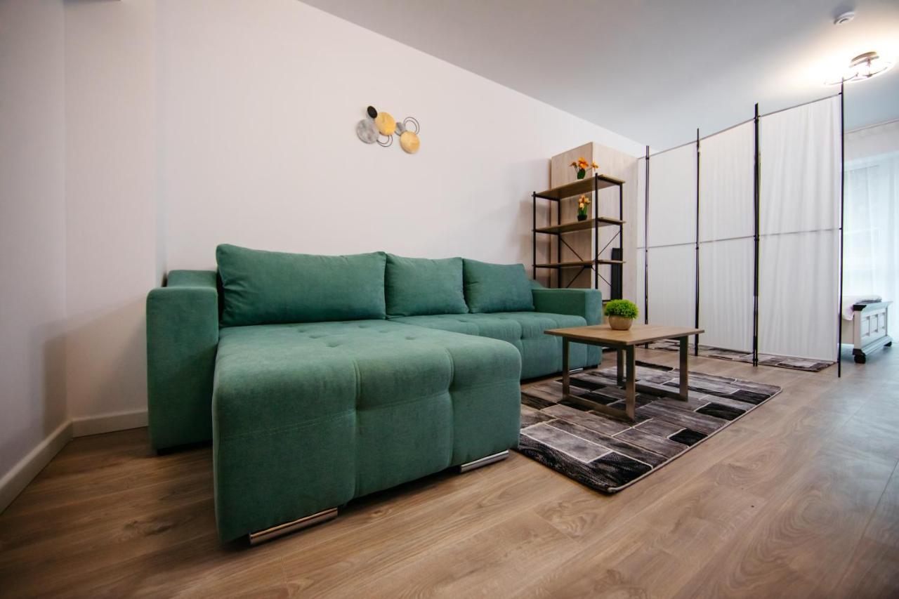 Apartament L&V Family Studio Sinaia Zewnętrze zdjęcie