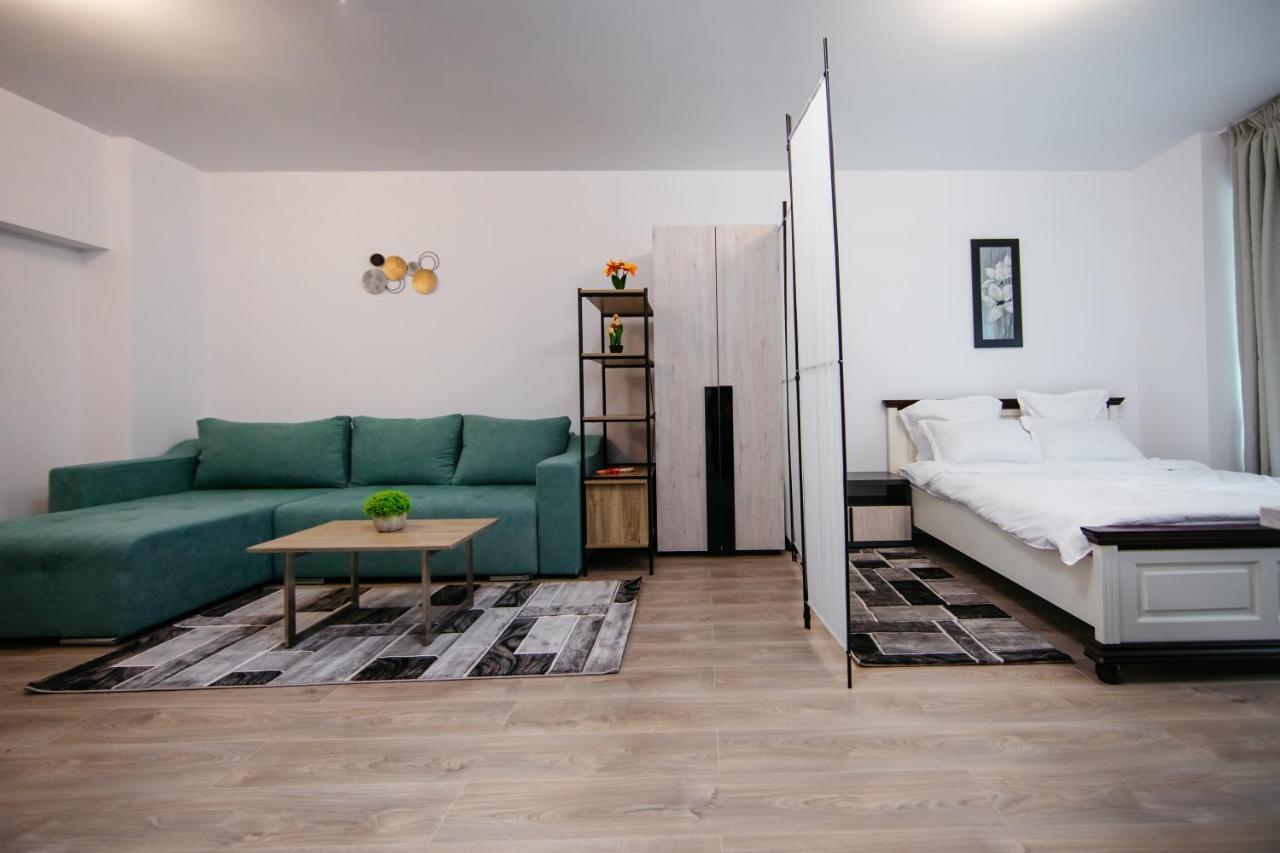 Apartament L&V Family Studio Sinaia Zewnętrze zdjęcie