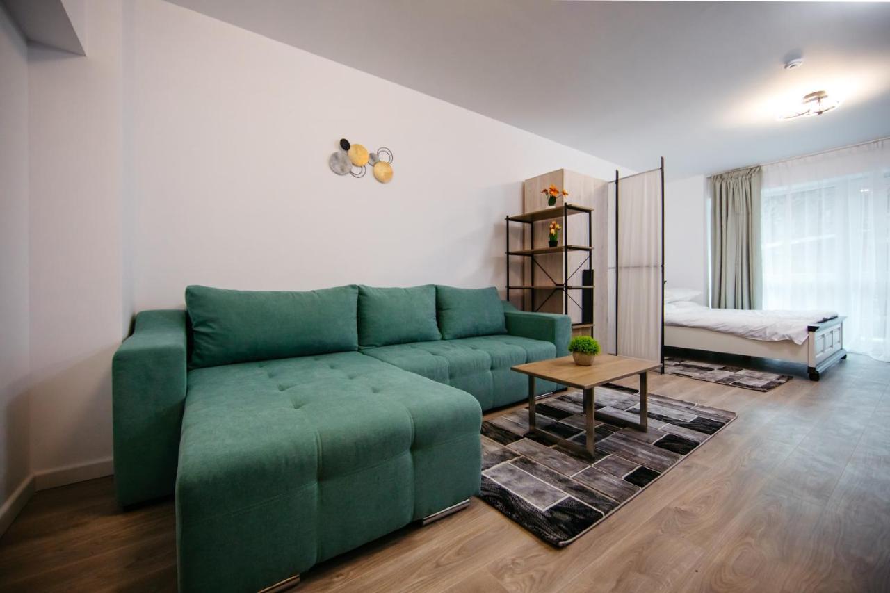 Apartament L&V Family Studio Sinaia Zewnętrze zdjęcie