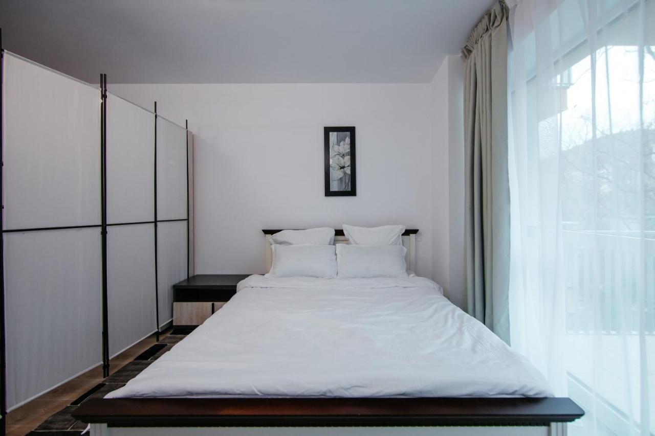 Apartament L&V Family Studio Sinaia Zewnętrze zdjęcie