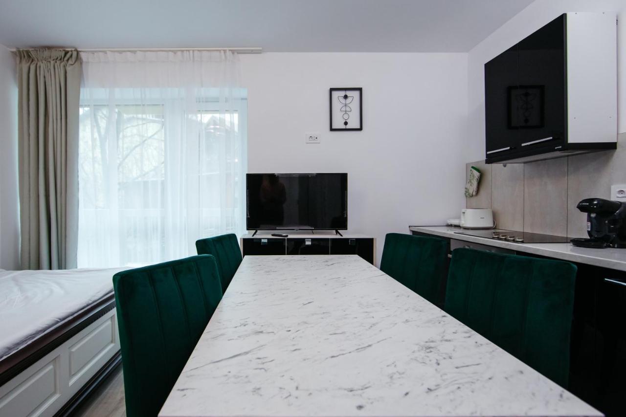 Apartament L&V Family Studio Sinaia Zewnętrze zdjęcie