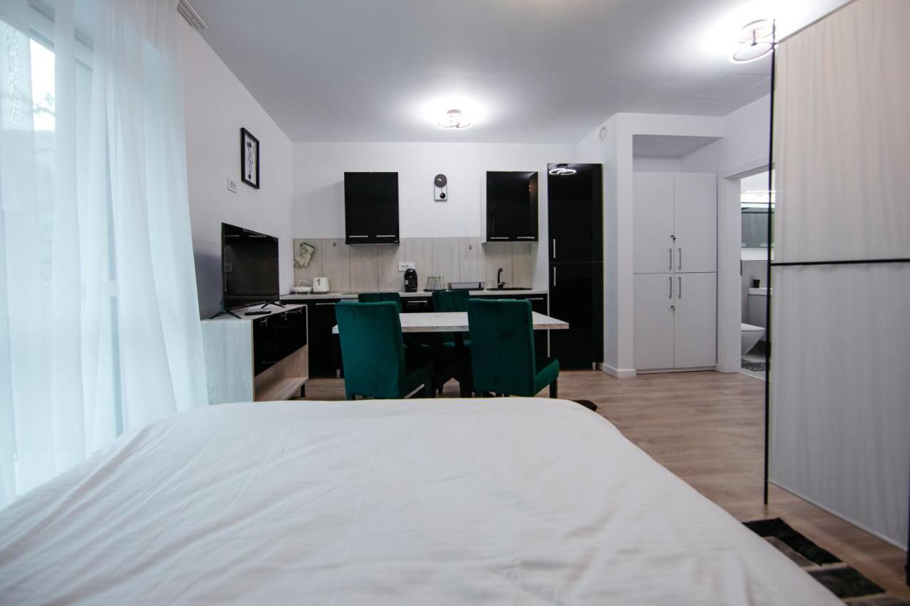 Apartament L&V Family Studio Sinaia Zewnętrze zdjęcie