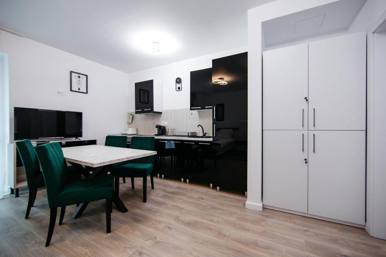 Apartament L&V Family Studio Sinaia Zewnętrze zdjęcie